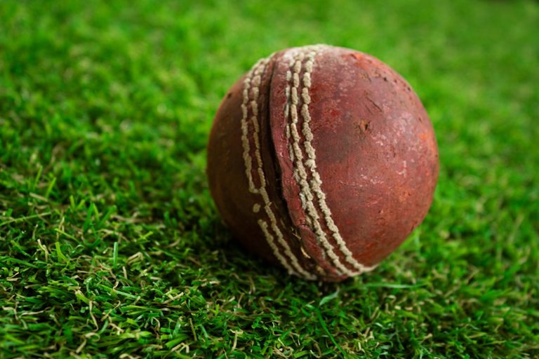 Unleashing the Thrill of Fantasy Cricket: A Game Changer for Sports Enthusiasts